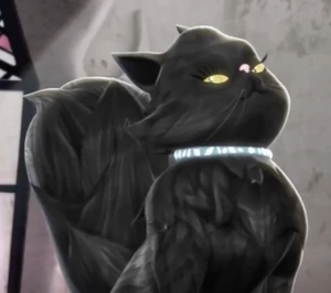 Velvet the black cat