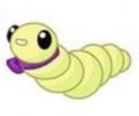 Amanita Nightshade's maggot